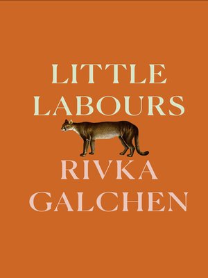cover image of Little Labours